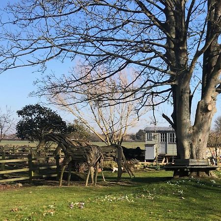 The Shepherd'S Hut @ Chichester Cottage Eksteriør billede